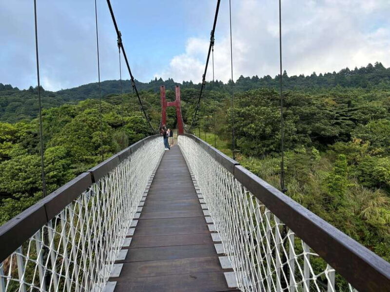 Taipei: Yanmingshan walking tour - Qingtiangang Grassland - Practical Tips for Travelers