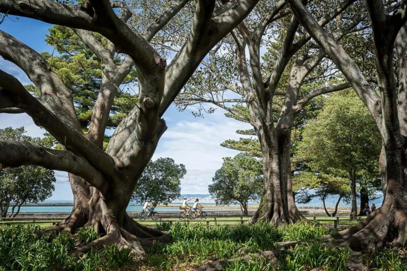Tairwhiti Gisborne: Guided City Bike Tour - Key Points