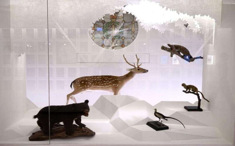 Taiwan Museum, MOCA Taipei & Miniatures Museum Entry Tickets - The Practicalities of the Tour