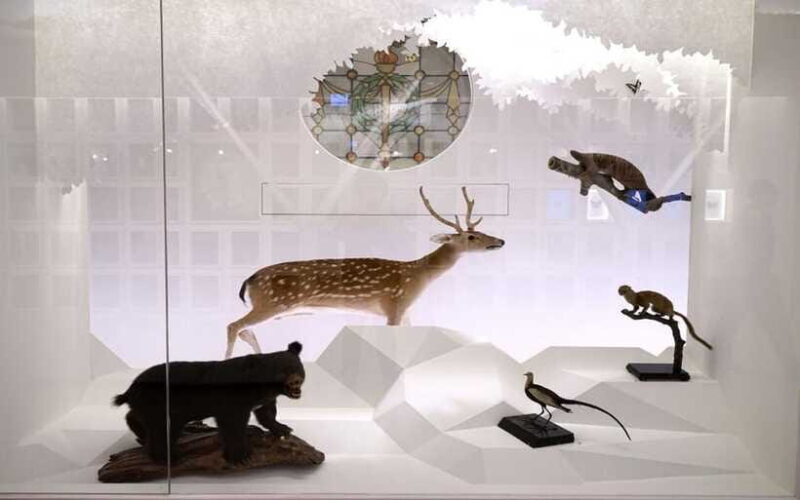 Taiwan Museum, MOCA Taipei & Miniatures Museum Entry Tickets - Frequently Asked Questions