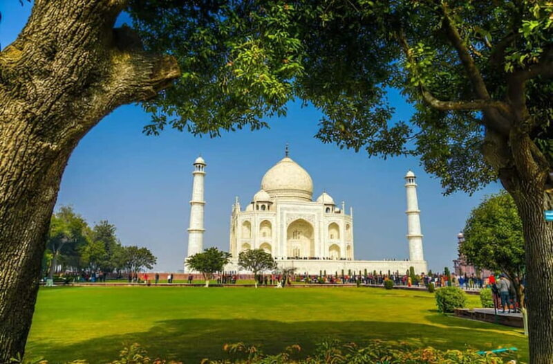 Taj Mahal, Agra Fort & Elephant Conservation Tour from Delhi - Who Will Benefit Most?