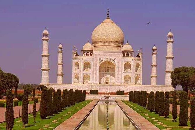 Taj Mahal, Agra Fort,Akbar's Tomb & Baby Taj Day Trip from Delhi - A Complete Review of the Taj Mahal, Agra Fort, and Historic Tombs Day Trip