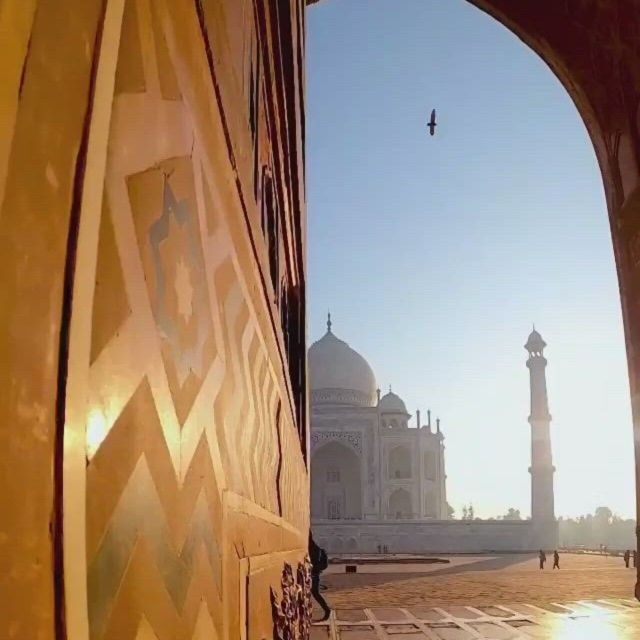 Taj Mahal and Agra Private Tour with free Airport pickup - Analyzing the Value