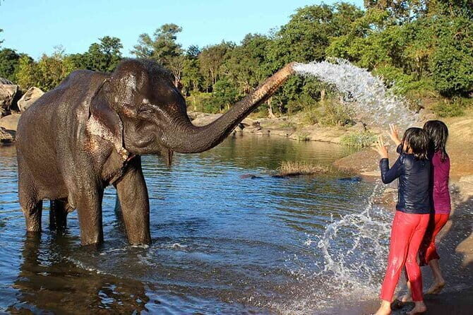 Taj Mahal Day Tour with Elephant from Delhi by Superfast Train - Return Journey: From Agra to Delhi