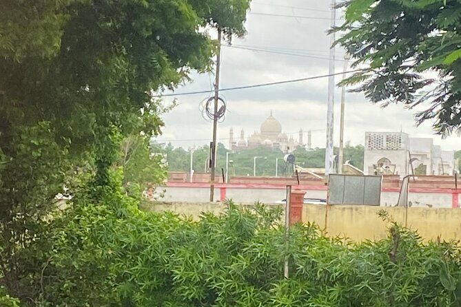 Taj Mahal Same Day Tour by Car From Delhi/Noida/Gurugram - A Full Breakdown of the Experience