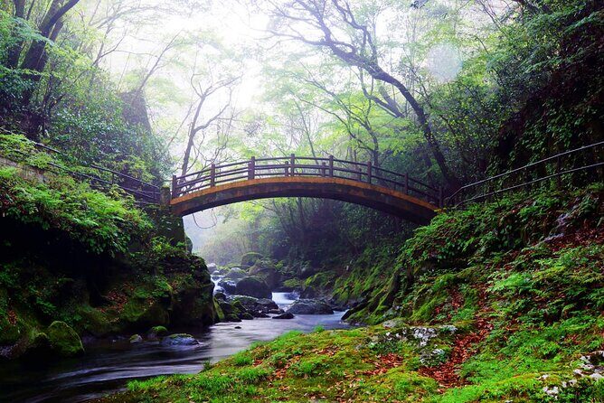Takachiho Gorge & Ancient Shrines Day Trip from Fukuoka - Key Points