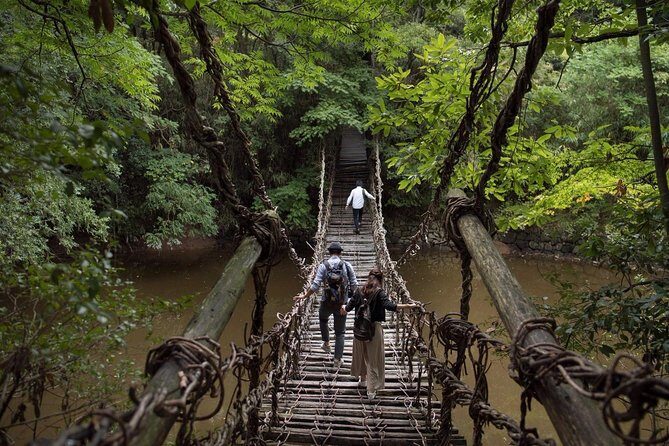 Takamatsu Half-Day Private Tour with Government-Licensed Guide - Is This Tour Right for You?