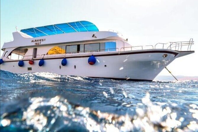 Take advantage of a half-day boat dive experience in Red sea of Aqaba. - Discovering Aqaba’s Marine Marvels: A Complete Overview
