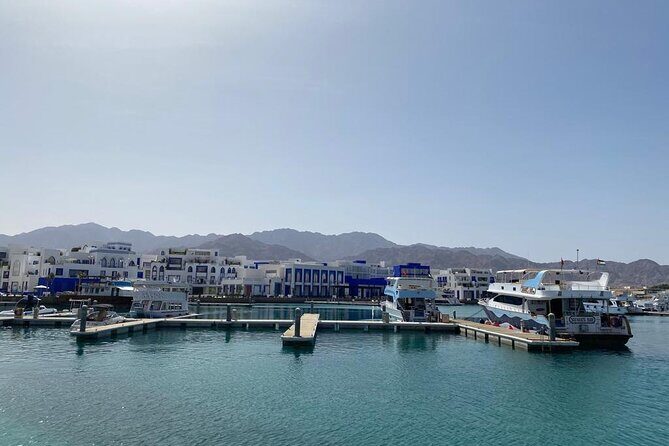Take advantage of a half-day boat dive experience in Red sea of Aqaba. - Practical Tips for Making the Most of Your Trip