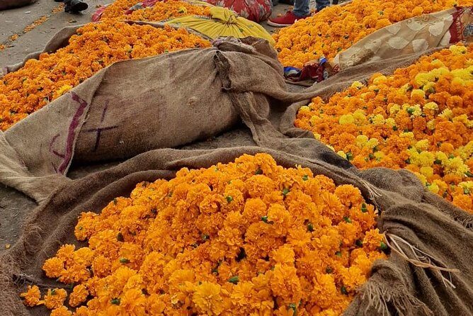 Take in the Beauty of an Early Morning with Fresh Flowers - Key Points