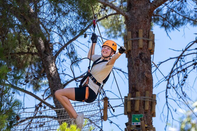 Take the Challenge and Conquer the Salisbury Treetops - An Overview of What to Expect