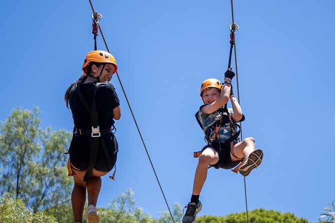 Take the Challenge and Conquer the Salisbury Treetops - The Sum Up