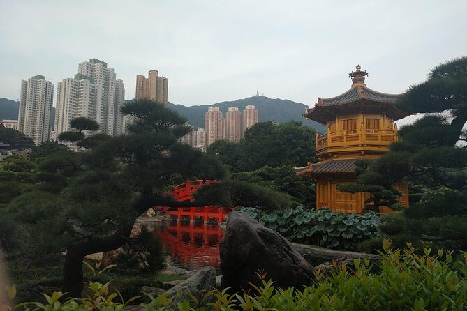 Taking you to every corner of Hong Kong! - Why This Tour Works for Travelers