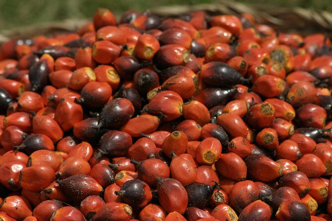 Takoradi Shore Excursion - FAQ