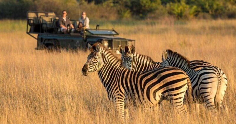 Tala Game Reserve & Natal Lion Park 1/2 Day Tour from Durban - FAQ