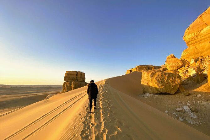 Tales of Fayoum: Private 2 days and 1 Night Full Experience - Key Points