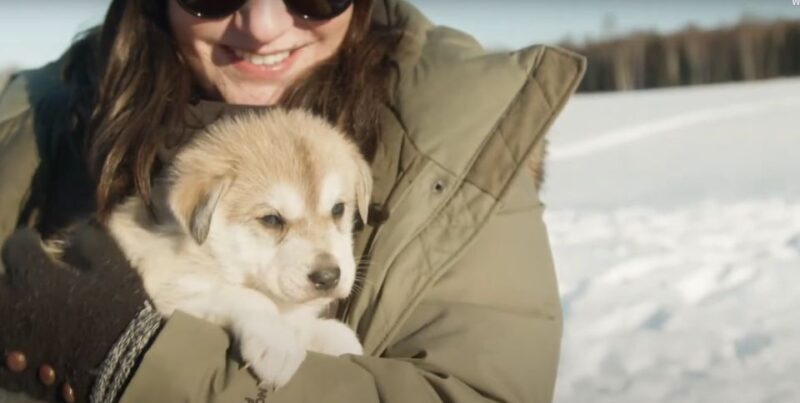 Talkeetna: Alaskan Winter Dog Sledding Experience - The Experience and Its Value