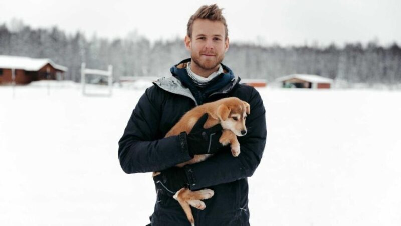 Talkeetna: Alaskan Winter Dog Sledding Experience - Pricing and Overall Value