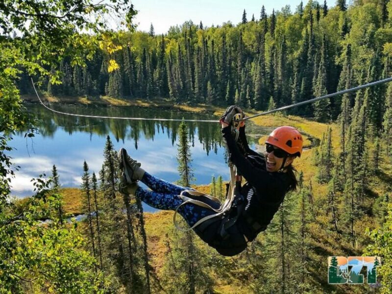 Talkeetna: Denali Zipline Tours - Comfort, Safety, and Practicalities