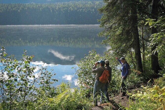 Talkeetna Lakes Hike Guided by a Naturalist - An In-Depth Look at the Talkeetna Lakes Hike