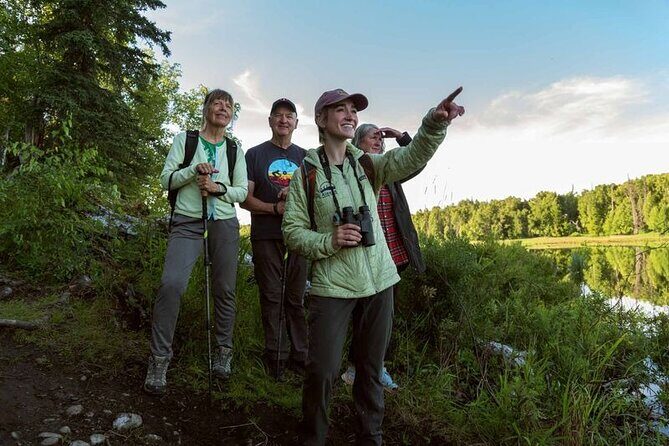 Talkeetna Lakes Hike Guided by a Naturalist - Summary: Who Is This Tour Perfect For?