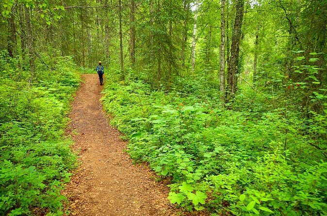 Talkeetna Lakes Hike Guided by a Naturalist - Frequently Asked Questions