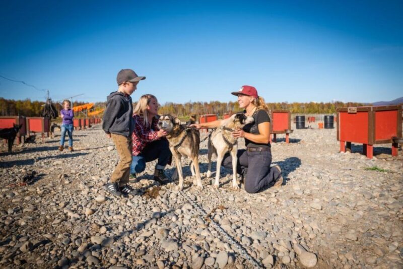 Talkeetna: Mushing Experience with Iditarod Champion Dogs - The Unique Allure of the Mushing Experience