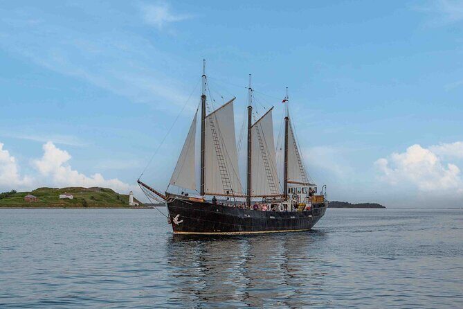 Tall Ship Silva Sailing Cruise Ft. a Live Musician - Key Points