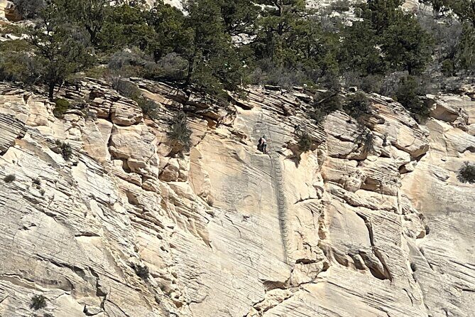 "Tallest in Utah" Via Ferrata & Rappelling (4 hr) - Introduction: A Closer Look at the Zion Via Ferrata & Rappelling Tour