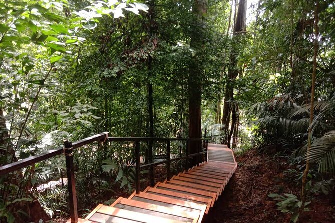 Taman Negara National Park Day Tour (SIC - Join In Tour) - An In-Depth Look at the Taman Negara Tour