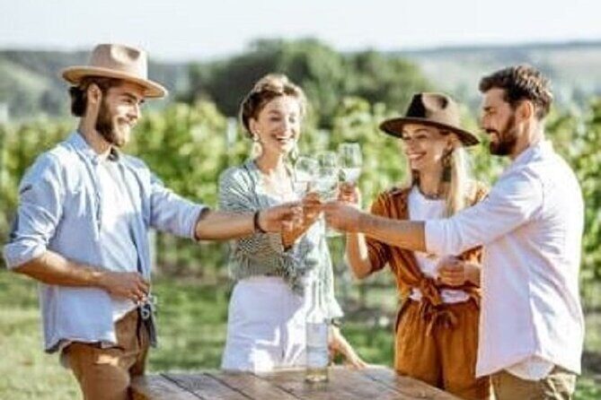 Tamborine Explorer from Brisbane - Who Should Consider This Tour?