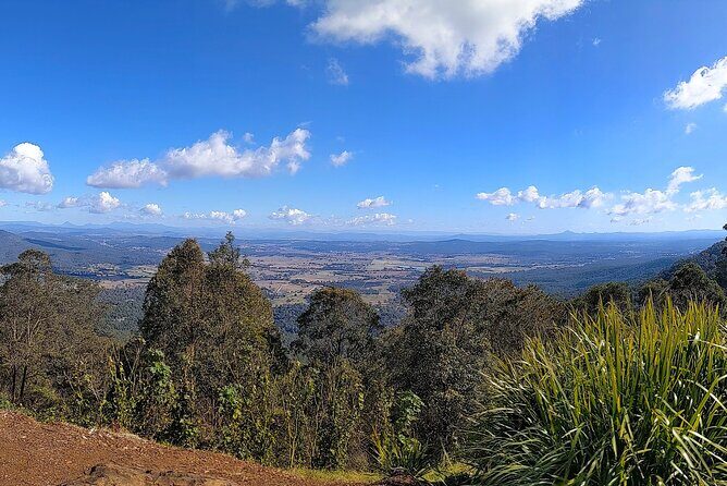 Tamborine Mountain and Paradise Point Tour from Brisbane - A Closer Look at the Itinerary and Experiences