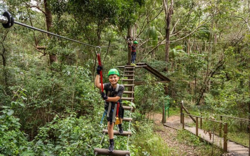 Tamborine Mountain: TreeTop Challenge Adrenaline Pass - Value for Money