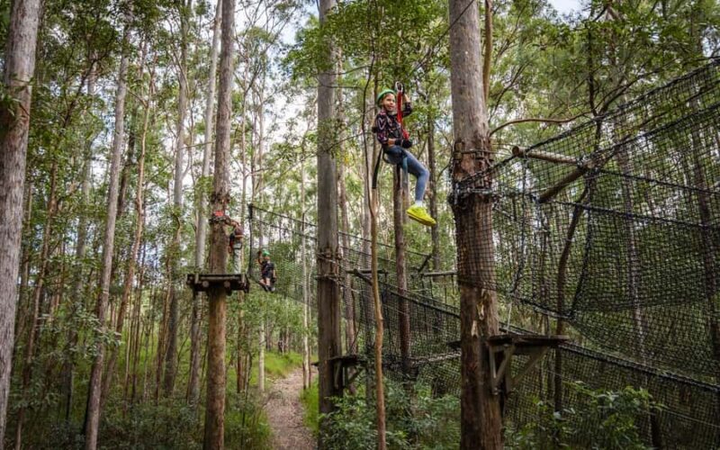 Tamborine Mountain: TreeTop Challenge Adrenaline Pass - The Sum Up: Who Will Love the TreeTop Challenge Adrenaline Pass?