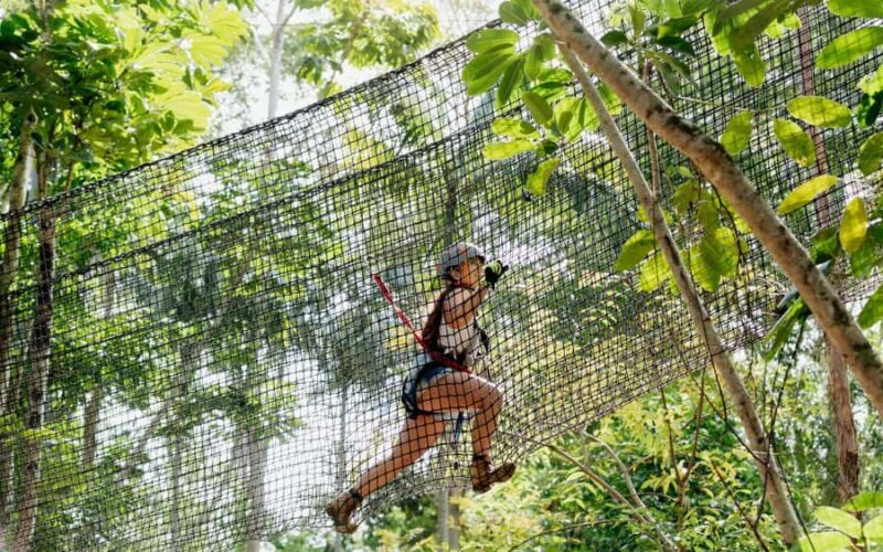 Tamborine Mountain: TreeTop Challenge Adventure Park - A Closer Look at the Experience