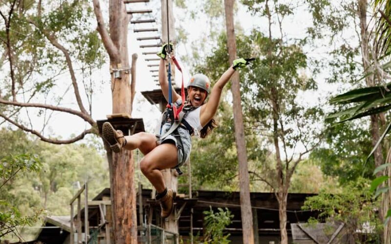Tamborine Mountain: TreeTop Challenge Adventure Park - Who Will Enjoy This?