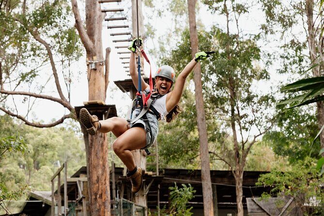 Tamborine Mountain TreeTop Challenge Adventure Park - A Closer Look at the Experience