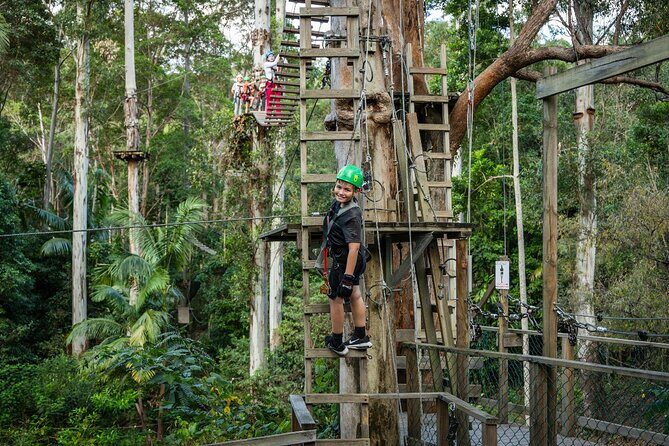 Tamborine Mountain TreeTop Challenge Adventure Park - FAQ