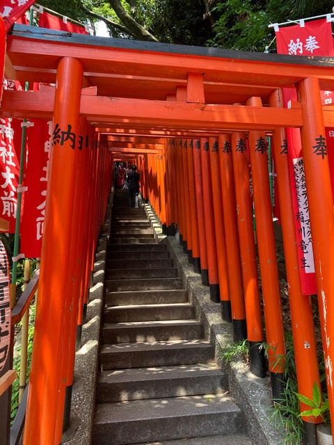 Tameike: Exploring the Heart of Japanese Politics Tour - The Sum Up