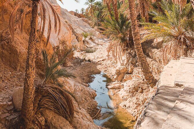 Tamerza, Chebika, Mides Canyons and Star Wars Full-Day Tour - The Canyons and Oases: Natural Marvels