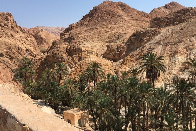Tamerza, Chebika, Mides Canyons and Star Wars Full-Day Tour - Final Thoughts: Is It Right for You?