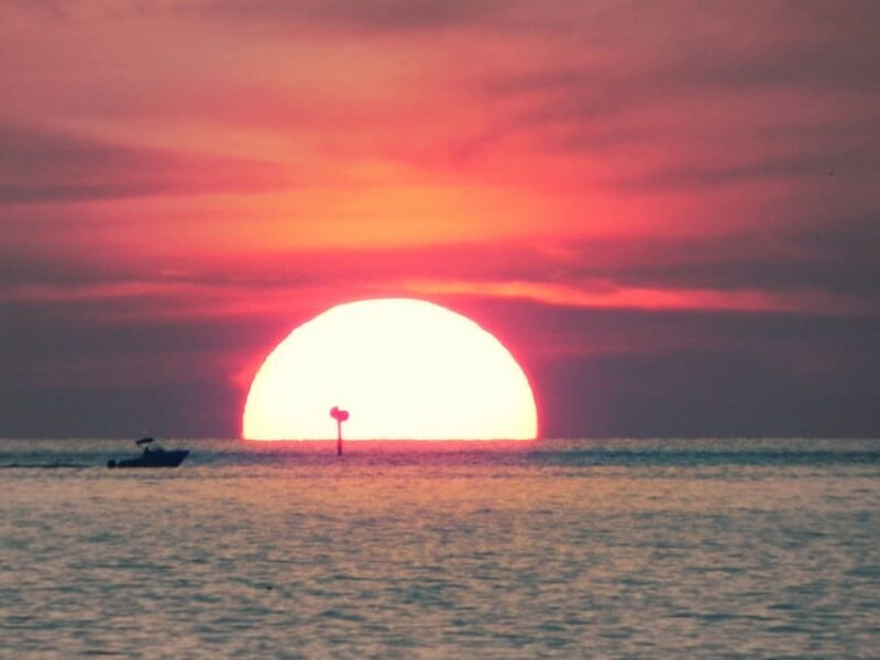 Tampa Bay: Private Sunset Cruise with Champaign or Wine - What to Expect from the Cruise