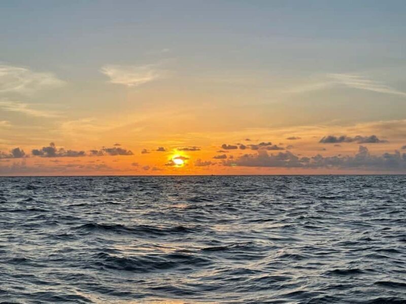 Tampa Bay: Sunset Cruise with Celebrity Homes and Wildlife - Key Points