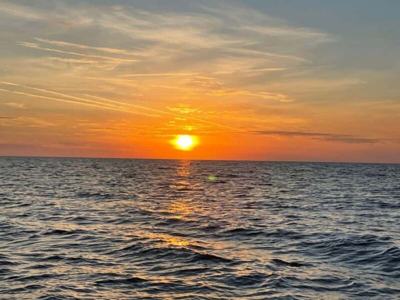 Tampa Bay: Sunset Cruise with Celebrity Homes and Wildlife - A Closer Look at the Tampa Bay Sunset Cruise