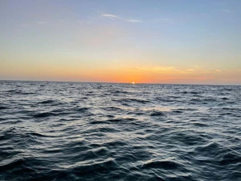 Tampa Bay: Sunset Cruise with Celebrity Homes and Wildlife - Final thoughts on the Tampa Bay Sunset Cruise