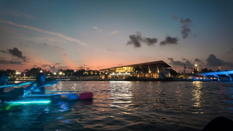 Tampa: Clear Glowing Kayak Nighttime Tour - The Experience’s Strengths and Potential Drawbacks