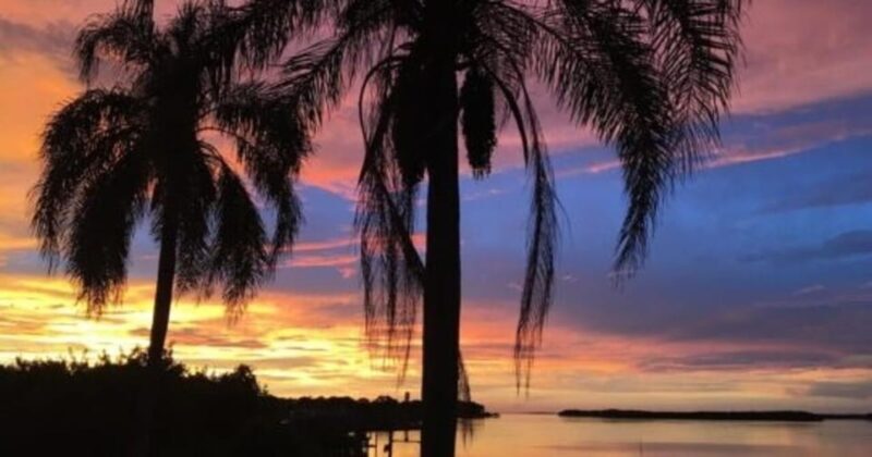 Tampa: Hillsborough River Evening Boat Tour Up to 13 people - Authentic Insights from Reviews
