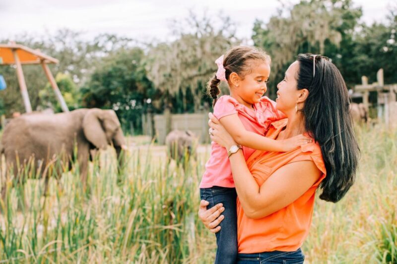 Tampa: ZooQuarium- ZooTampa & Florida Aquarium Combo Ticket - The Sum Up