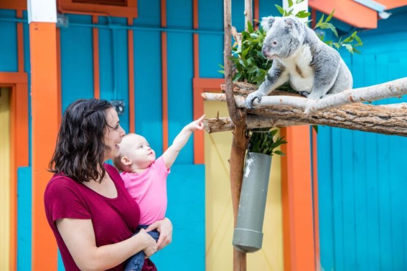 Tampa: ZooTampa at Lowry Park Ticket with After Hours Option - Value and Ticketing