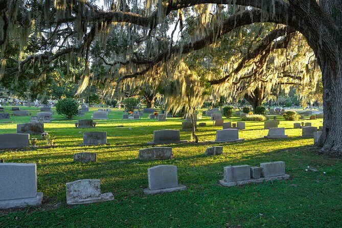 Tampa's Highlights Self Guided Audio Walking Tour - Who Will Love This Tour?